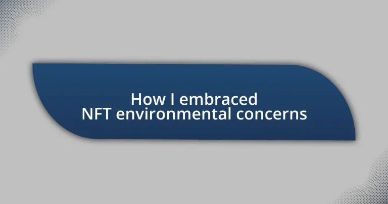 How I embraced NFT environmental concerns