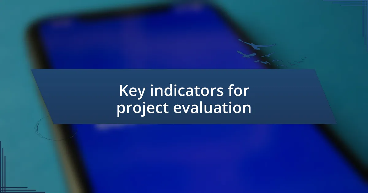 Key indicators for project evaluation