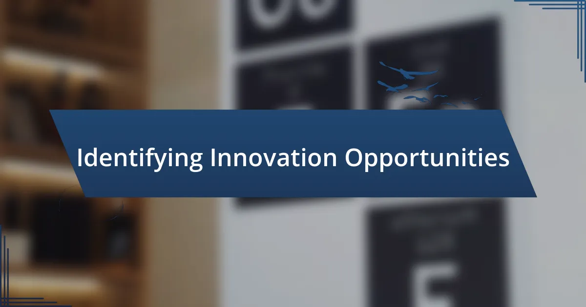 Identifying Innovation Opportunities